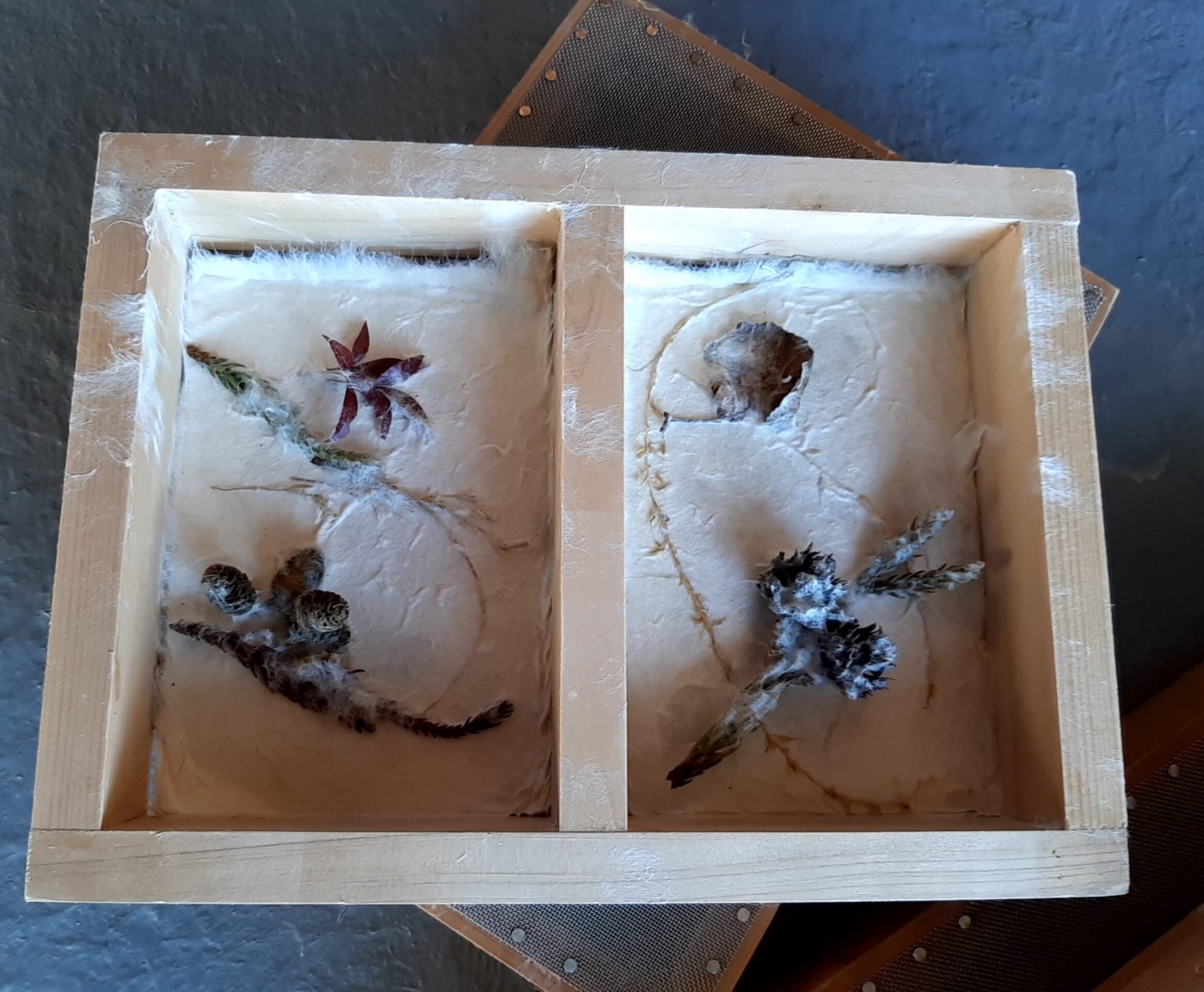 紅葉した葉やドライフラワーを漉き込んだ和紙が木枠に収まる作品